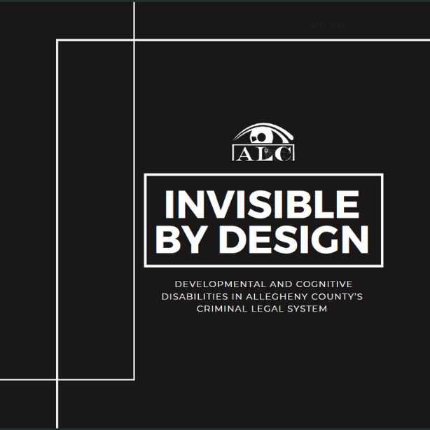 Invisible by Design report image 122023